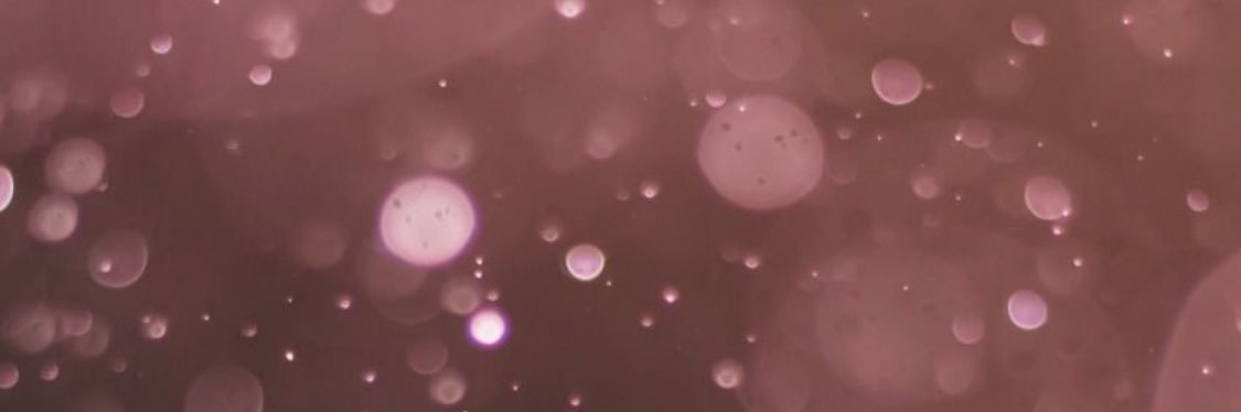 marybatiz's profile banner image