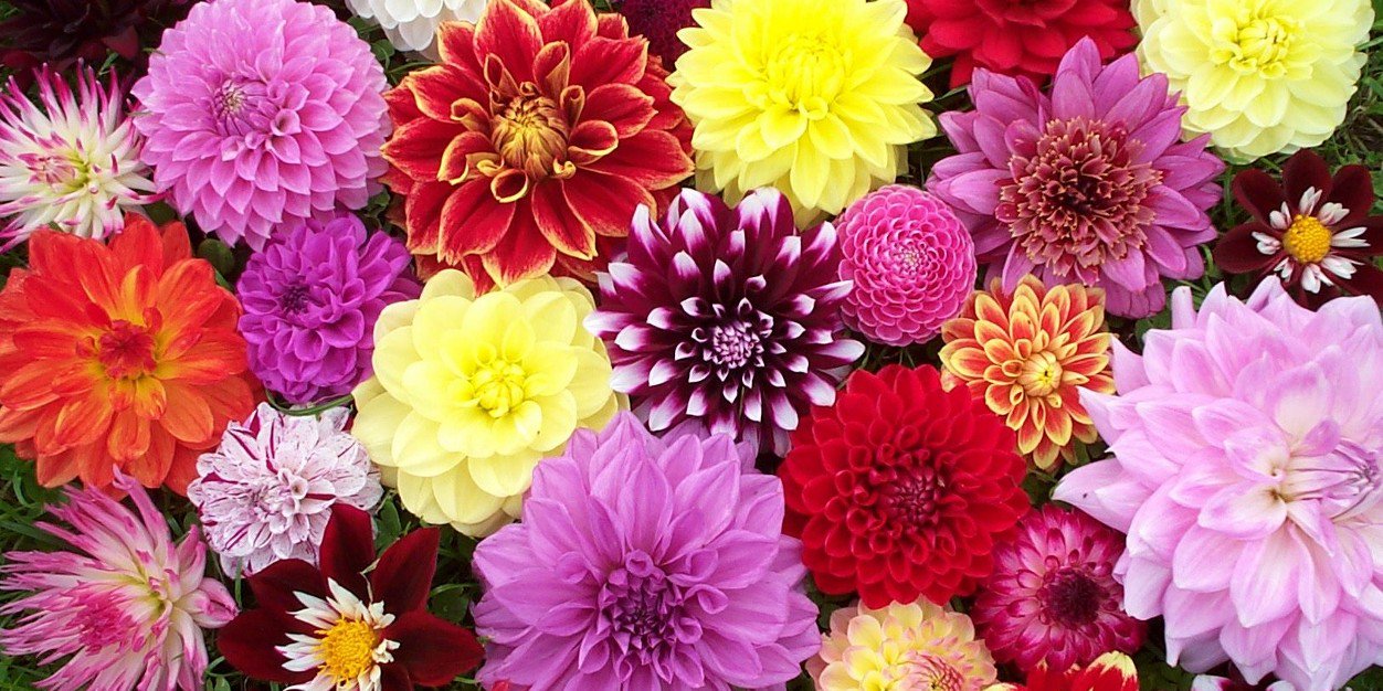 marigarciTAM's profile banner image