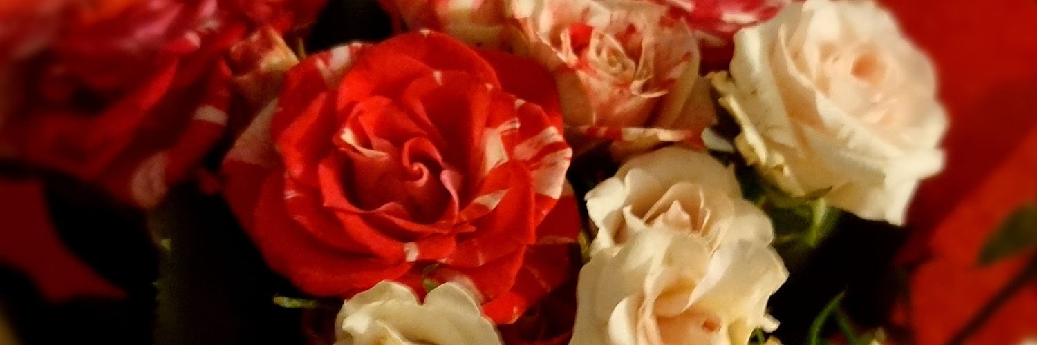 SuperBenji63 - TERFs hate account banner