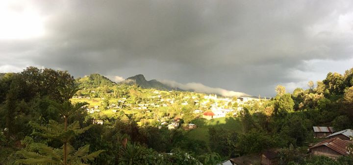 Fidel Hernández M. banner