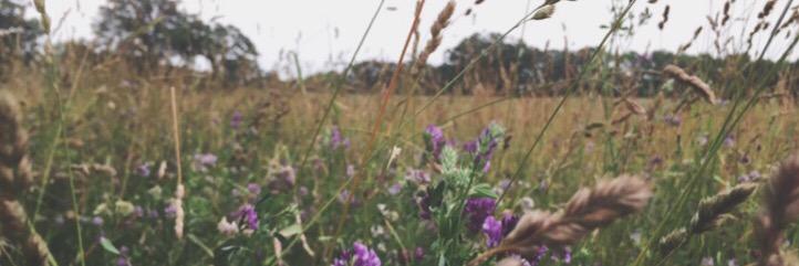 BUCKA_SUGGS's profile banner image