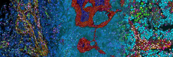 JimMansfieldYWG Profile Banner