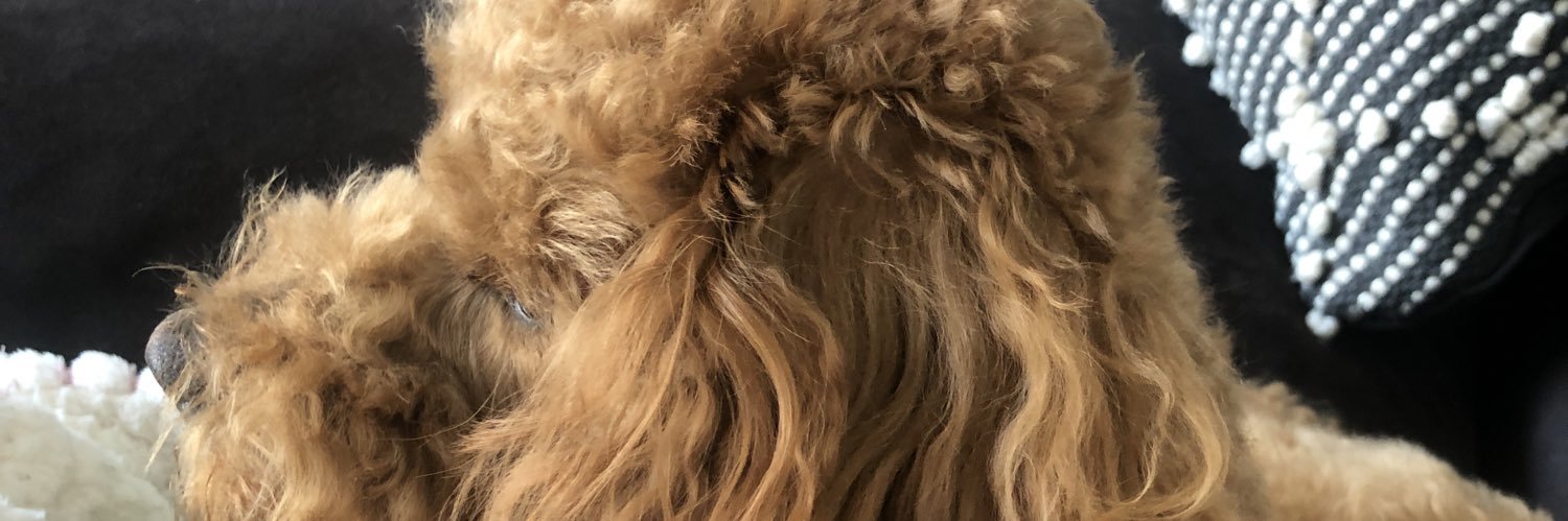 Winston’s Dad banner