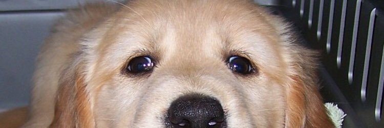a_hess86's profile banner image