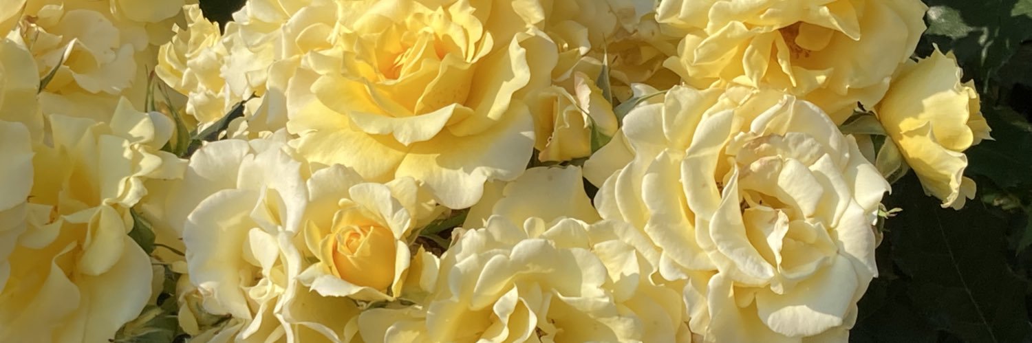 rsa92867's profile banner image
