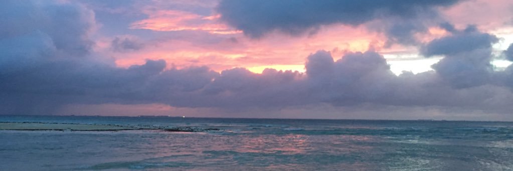 meg_ennis6's profile banner image