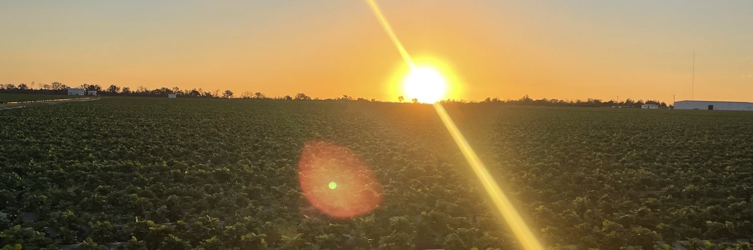 D_Swafford's profile banner image