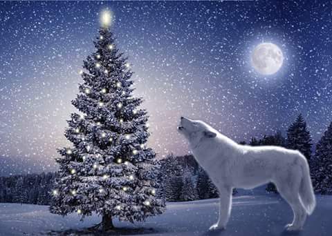 JenniferMsT1983's profile banner image