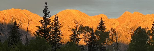 Ison120704 Profile Banner