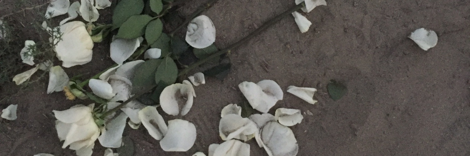 KateGTaylor's profile banner image