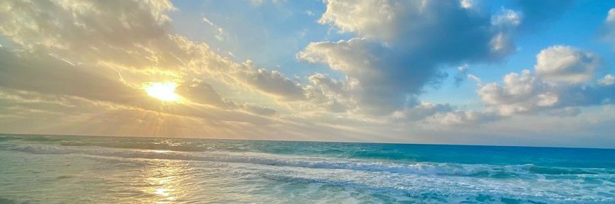 Sobrevilla_'s profile banner image
