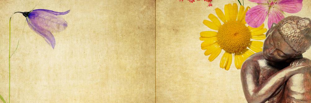 CompassionateE's profile banner image
