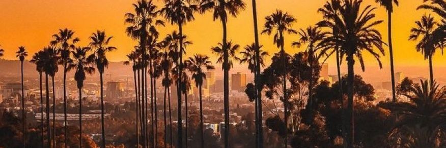 Soybron's profile banner image