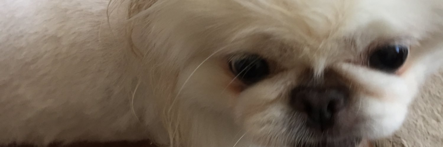 forgetmenotnk's profile banner image