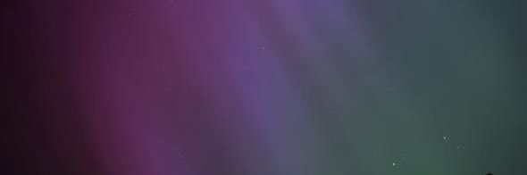 leticiameschede's profile banner image