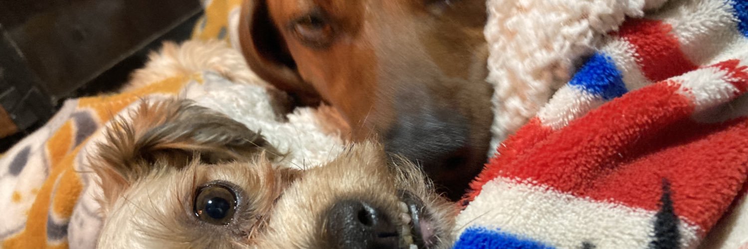 VelazquezDenis's profile banner image