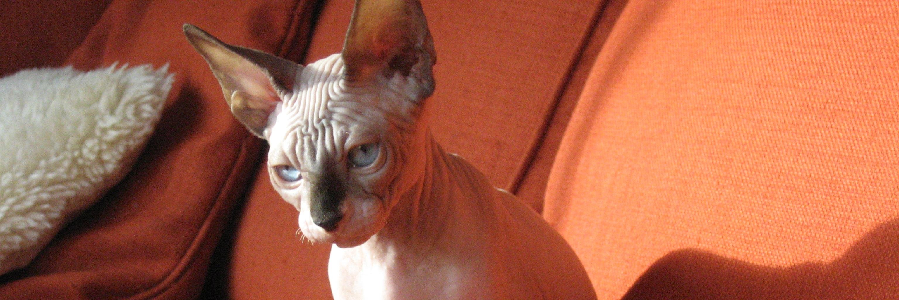 Hilde_V's profile banner image