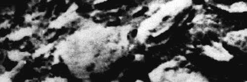 moddot's profile banner image