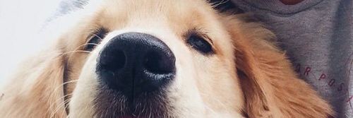 ItsMeRosie9's profile banner image