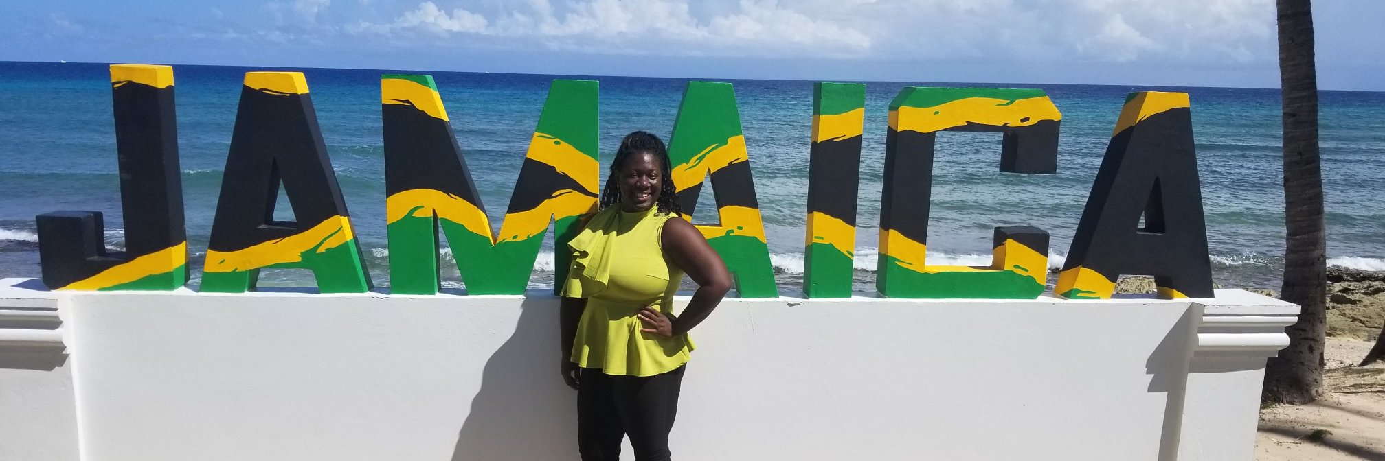 SimoneMSamuels's profile banner image