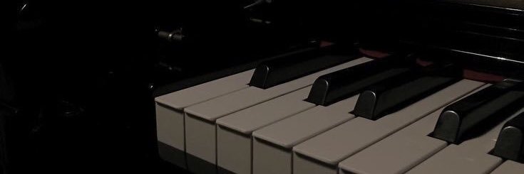 fitflovee's profile banner image
