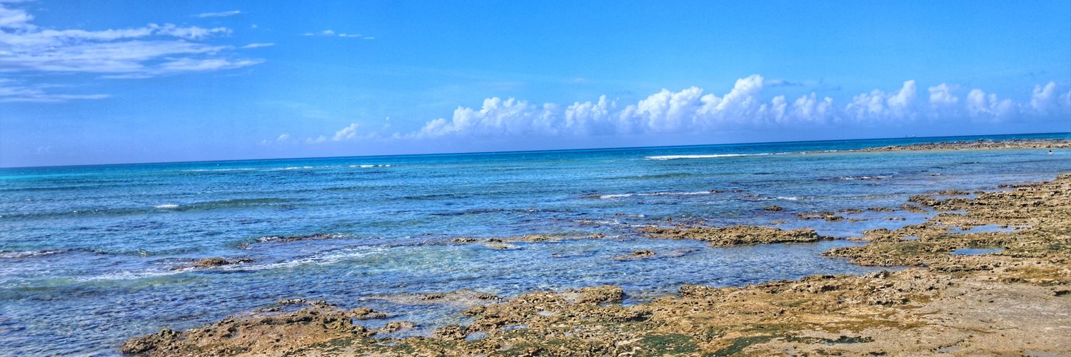 WickSwims's profile banner image