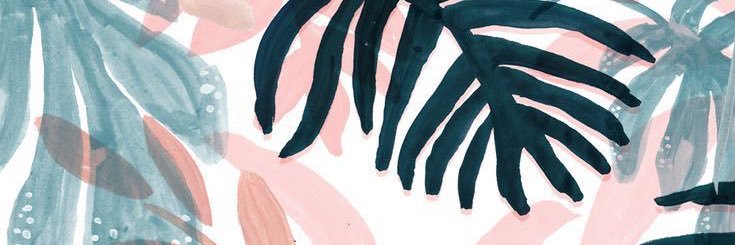 PaytonFeuerborn's profile banner image