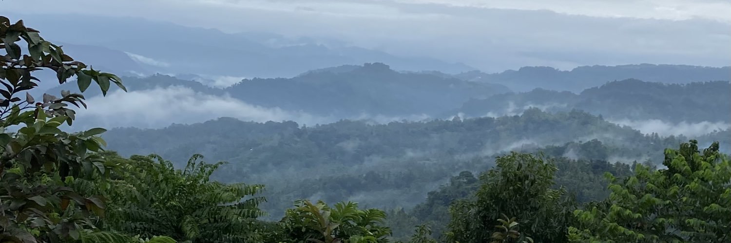 eugeluzon's profile banner image