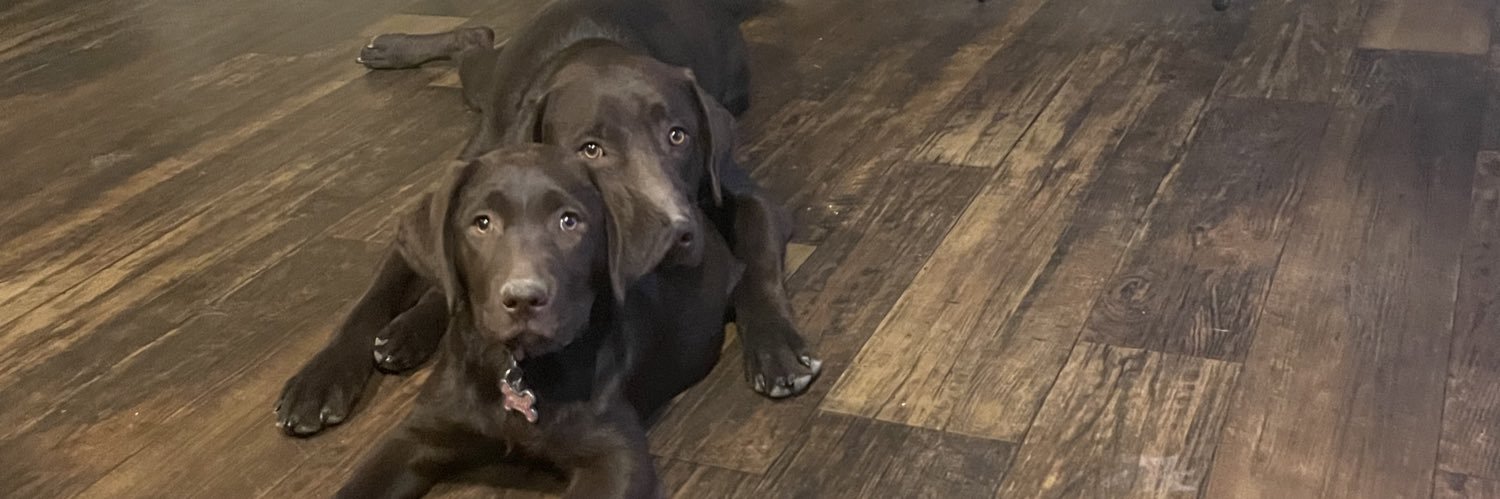 Alyssa_Kay_'s profile banner image