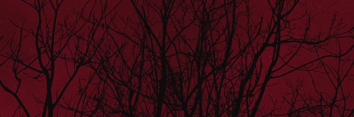 4xz00's profile banner image