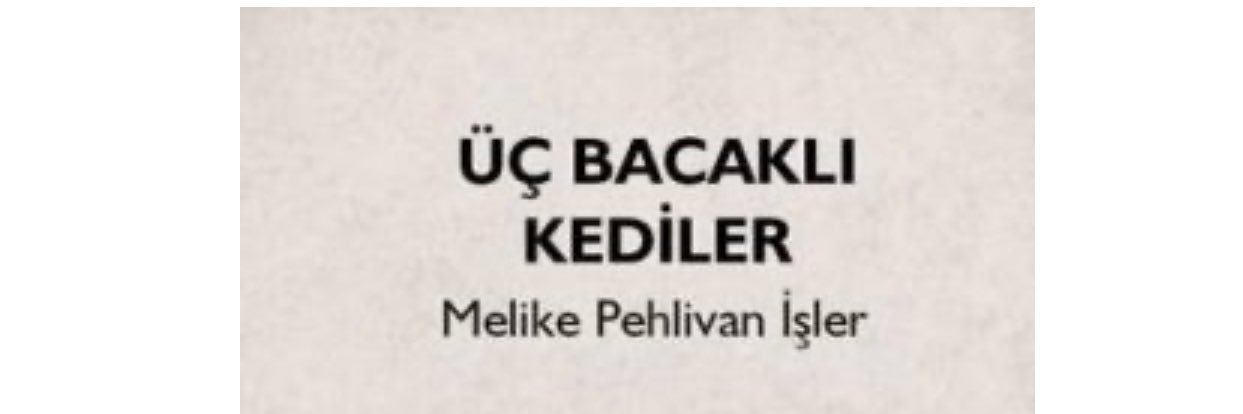 topisak's profile banner image