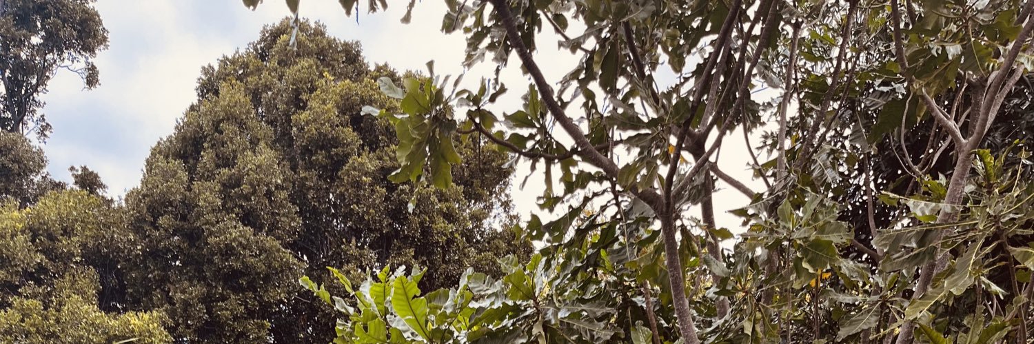 GaryHartleySA's profile banner image