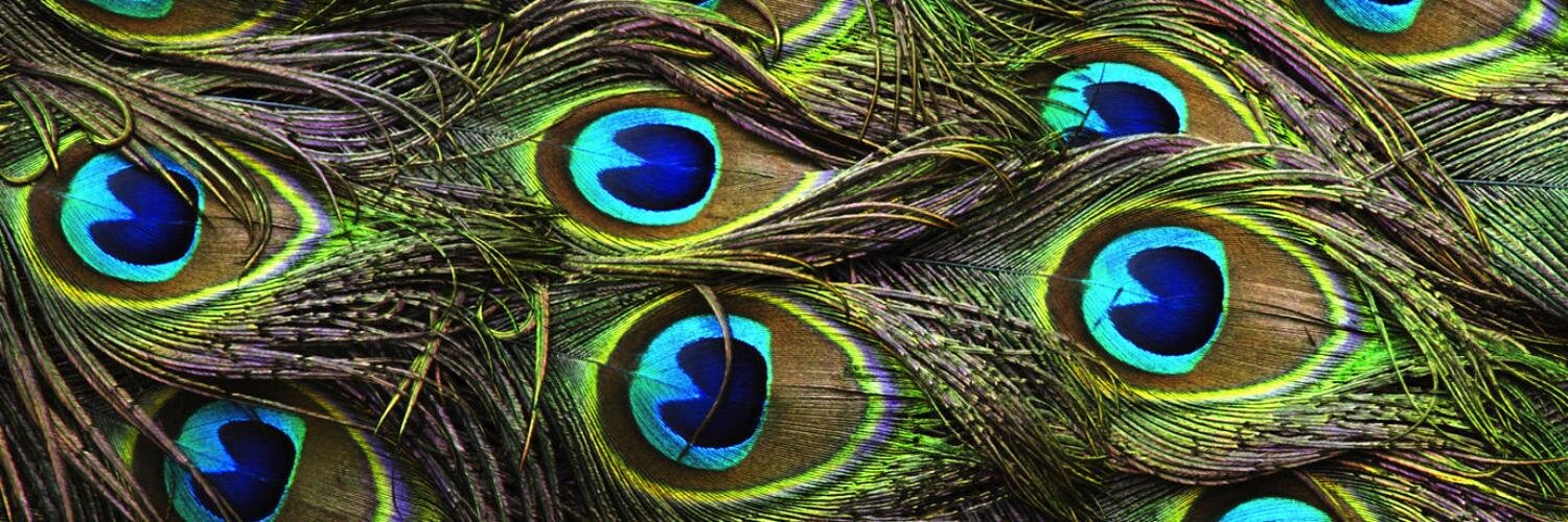 brytanix3's profile banner image