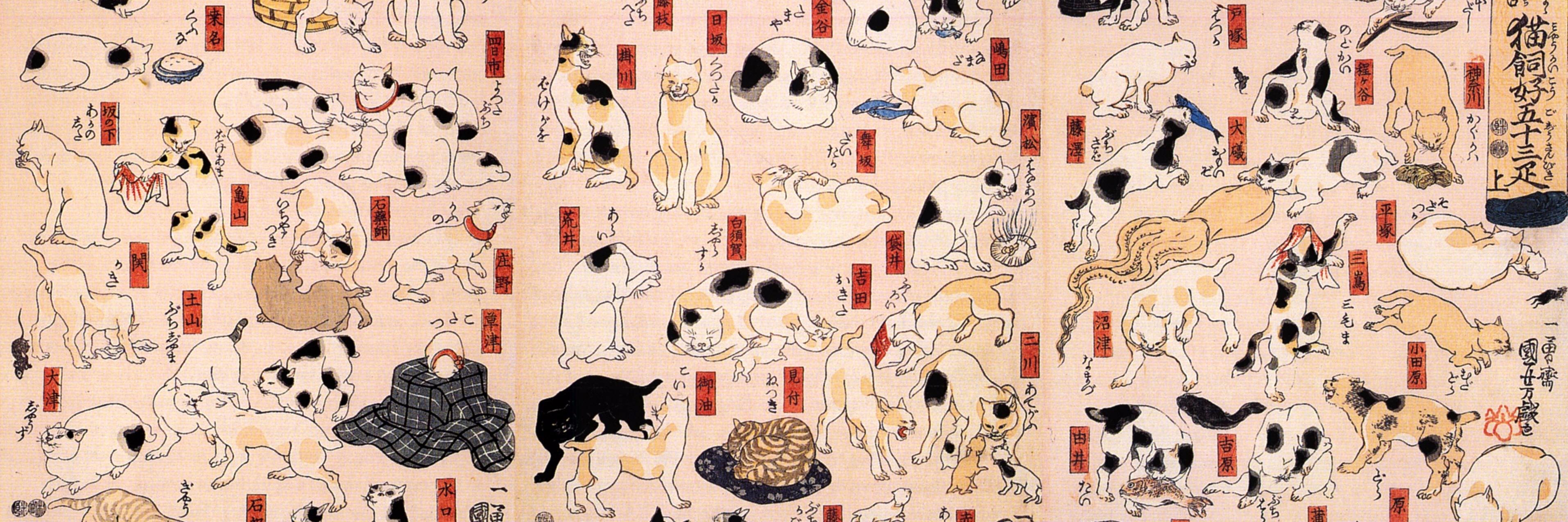 attorney soy sauce banner