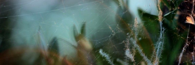 HorribleDoctor's profile banner image
