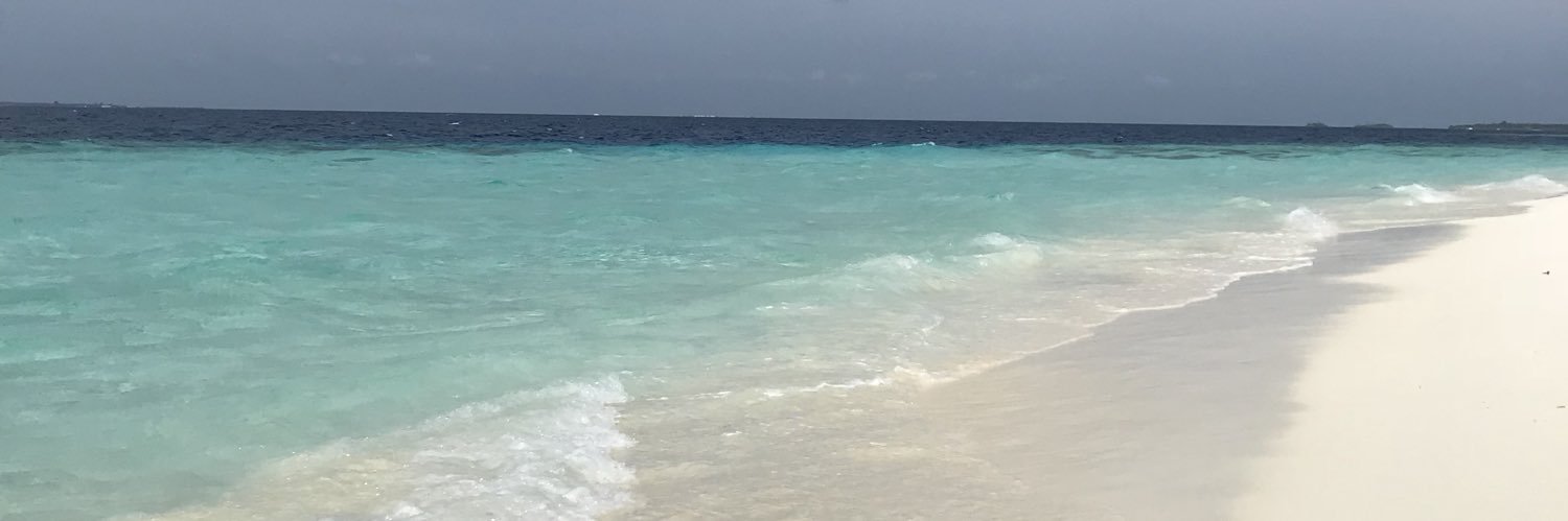 vinessatia's profile banner image
