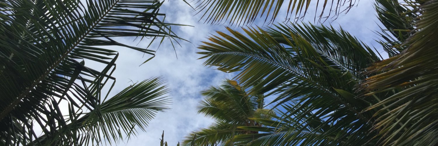 pimpingiseasy's profile banner image