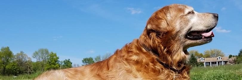 MichaelClemens_'s profile banner image