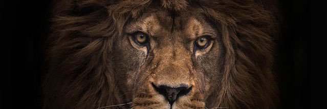 Zariexan's profile banner image