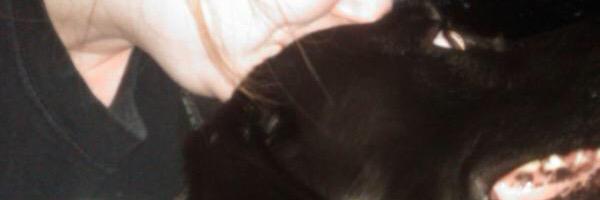 assilemshea's profile banner image