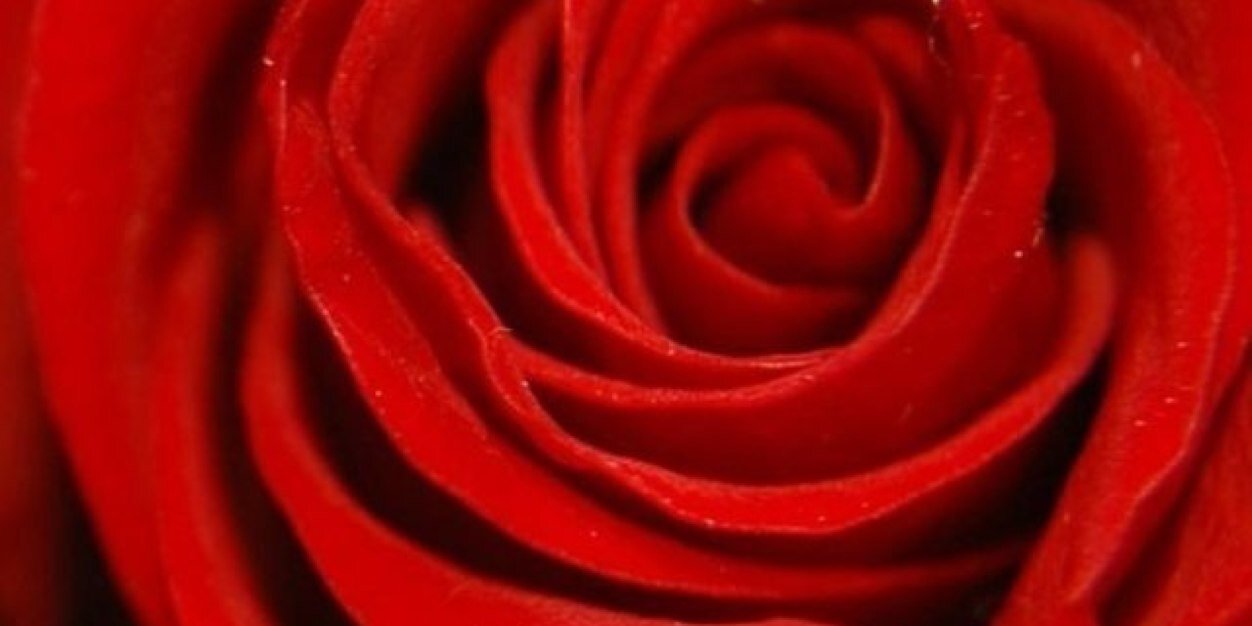 meskotb's profile banner image