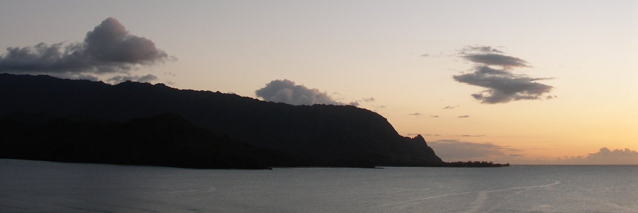 Lorelei Armstrong banner