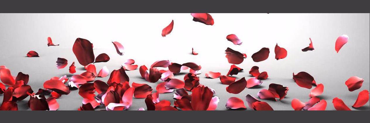 BachGIFs's profile banner image