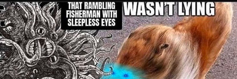 morningsbun's profile banner image