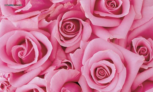 CharniaF's profile banner image