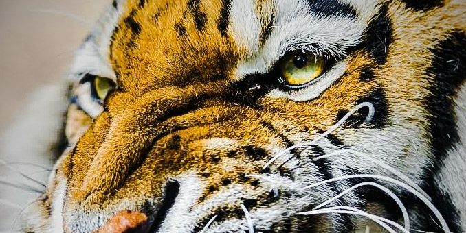 jayman1134's profile banner image