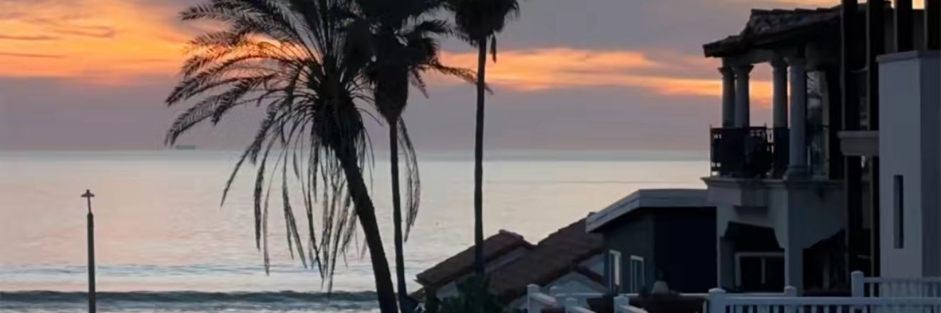 sherrysynthesis's profile banner image