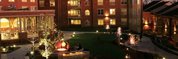 Helen Grace Ryan banner