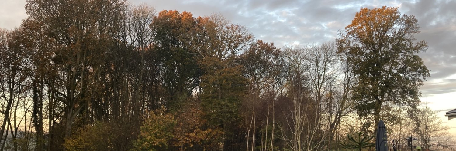 RobCN23's profile banner image