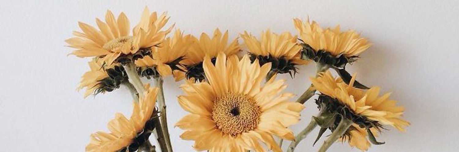 EmilyBalnius's profile banner image